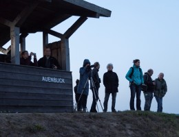 Auenblick am Bösen Ort - naturOrte.de