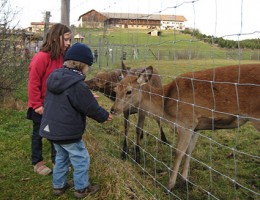 Bergtierpark Blindham – naturOrte.de