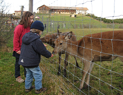 Bergtierpark Blindham – naturOrte.de