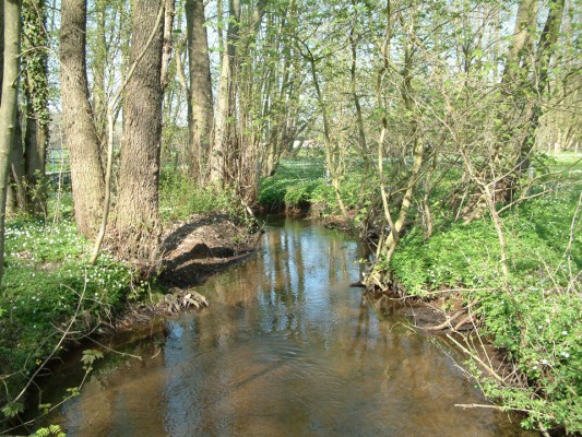 Bergmolch-Wanderweg - naturOrte.de
