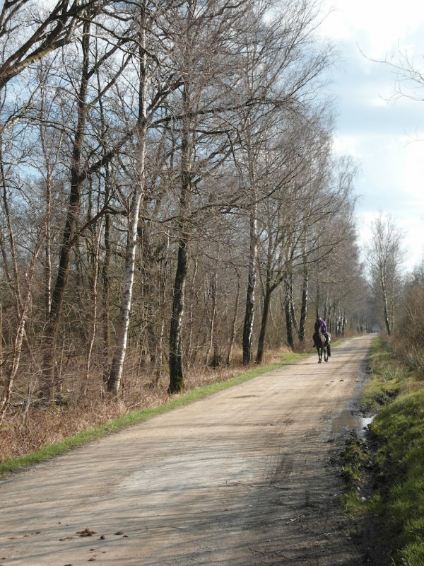 Emsdettener Venn – Hindenburgweg - naturOrte.de