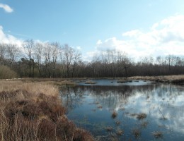 Emsdettener Venn – naturOrte.de