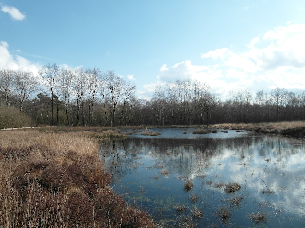 Emsdettener Venn – naturOrte.de