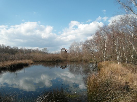 Emsdettener Venn – Aussichtsturm - naturOrte.de