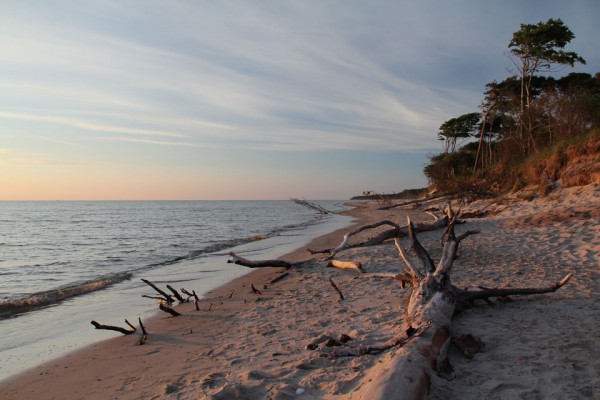 Nationalpark Vorpommersche Boddenlandschaft – naturOrte.de
