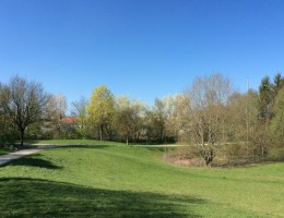 In den Kirschen - München - naturOrte.de