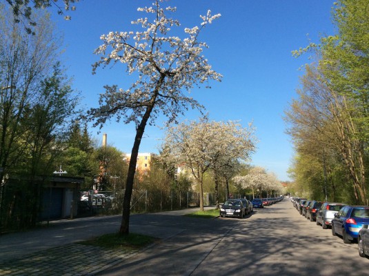 In den Kirschen - München - naturOrte.de