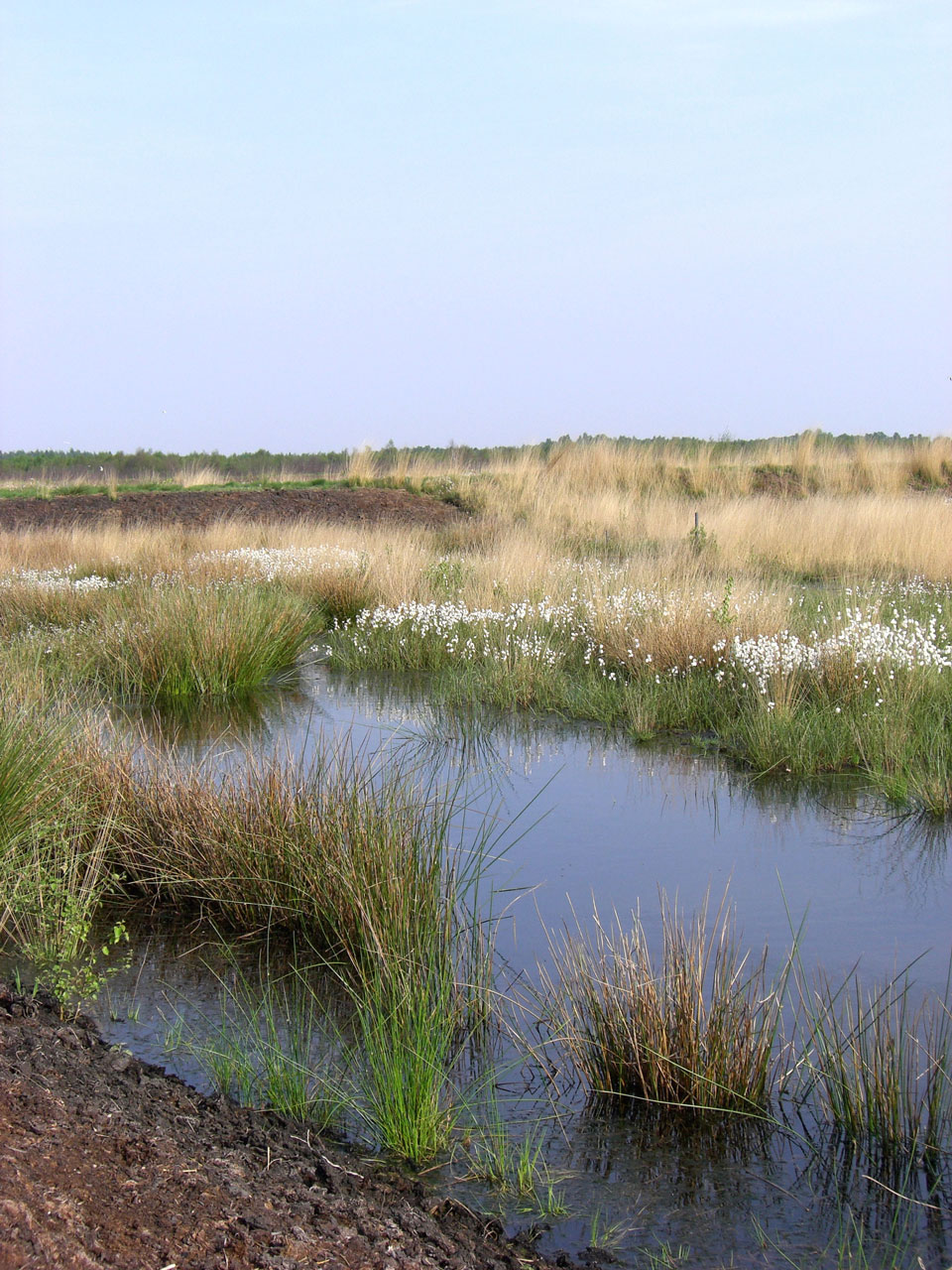NaturOrte Die schönsten Plätze im Freien für Familien mit Kindern