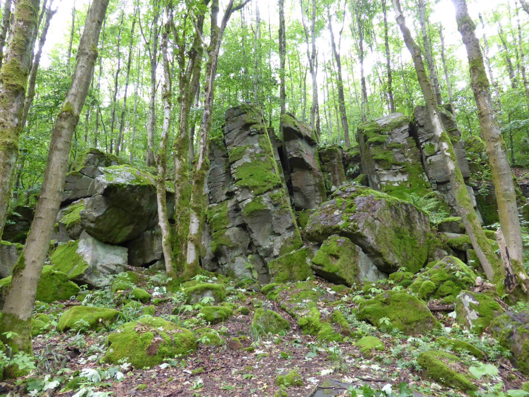 Uhuklippen mit Teufelstisch – naturOrte.de