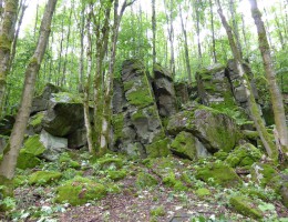 Uhuklippen mit Teufelstisch – naturOrte.de