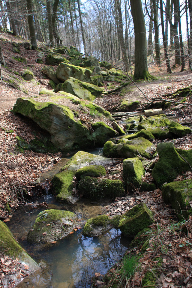 Hansteingraben Homberg (Ohm) Vulkanregion Vogelsberg