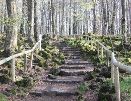 Taufstein in der Vulkanregion Geopark Vogelsberg