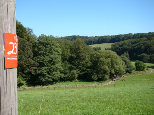 Waldmythenweg Waldbröl: NaturOrt und Familienwanderung