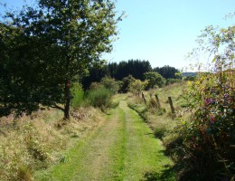 Waldmythenweg Waldbröl: NaturOrt und Familienwanderung