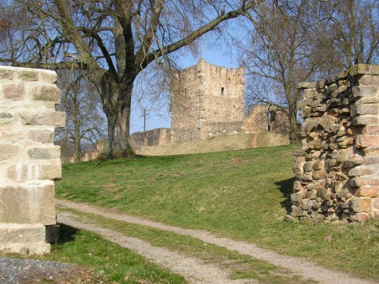 Burgruine Wartenberg in Hessen / NaturOrte