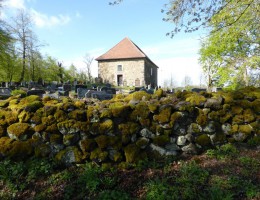 Friedhof auf dem Vulkan: Totenköppel Meiches, Hessen/NaturOrte