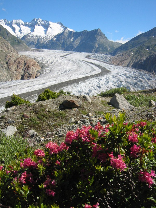 pro-natura-zentrum aletsch-gletscher / NaturOrte