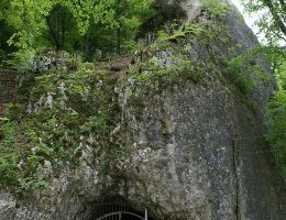 Hohler Fels Schelkingen