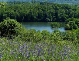 stausee ehmetsklinge / NaturOrte