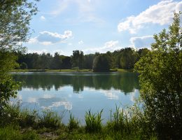 Germeringer See – NaturOrte