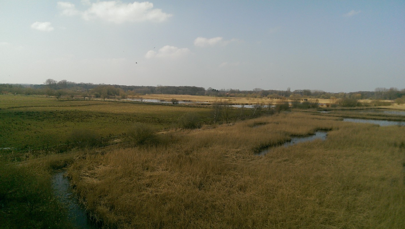 Rieselfelder Münster – NaturOrte.de