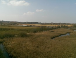 Rieselfelder Münster – NaturOrte.de