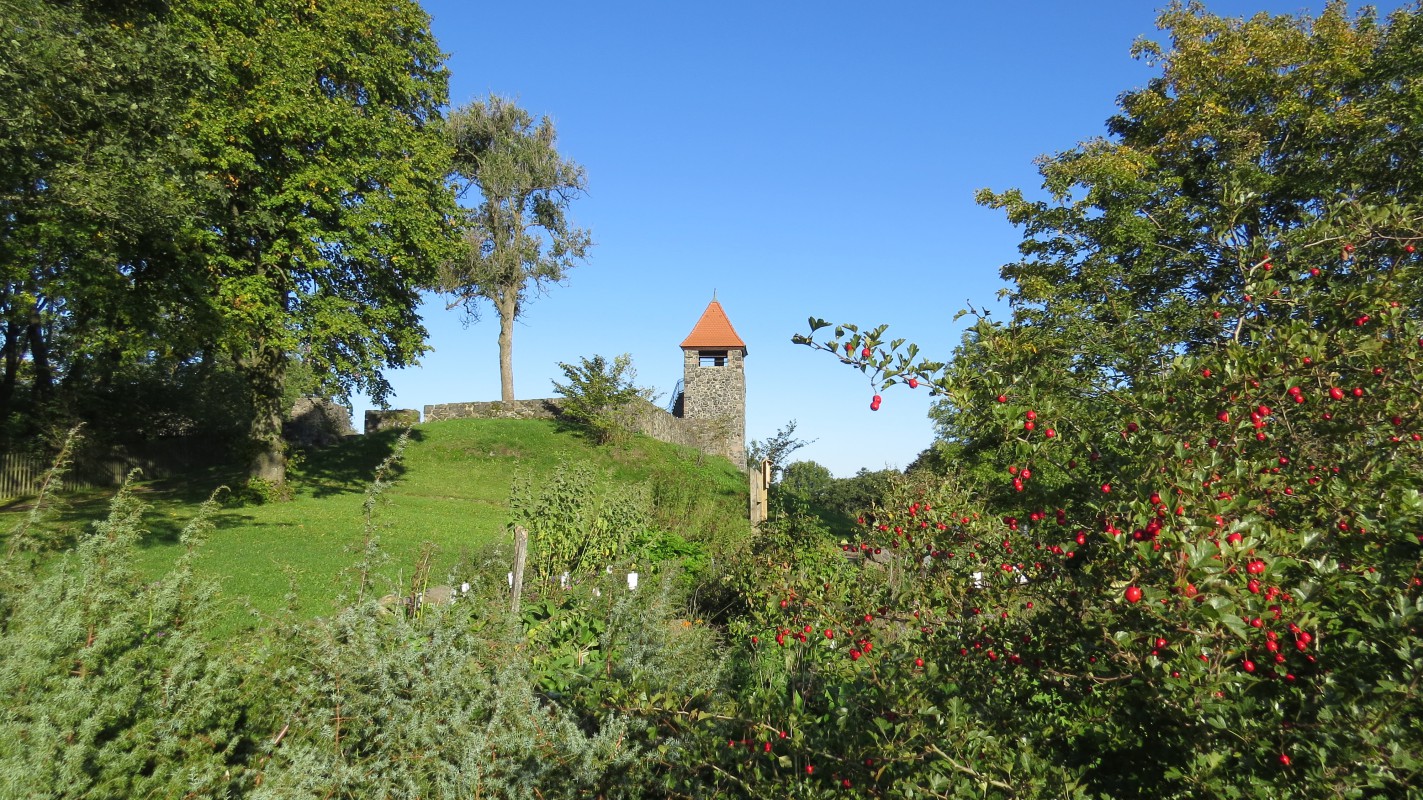 Schlossberg Ulrichstein mit Vogelsberggarten