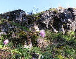 Schlossberg Ulrichstein mit Vogelsberggarten