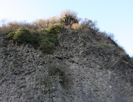 Amöneburg-Ostwand – NaturOrte.de