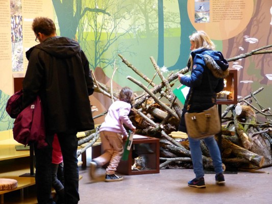 Wildkatzenwelt Stromberg: außerschulischer Lernort und Erlebniswelt