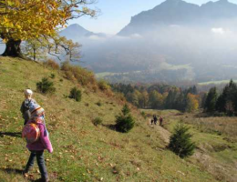 Drei Linden bei Brannenburg - naturOrte.de