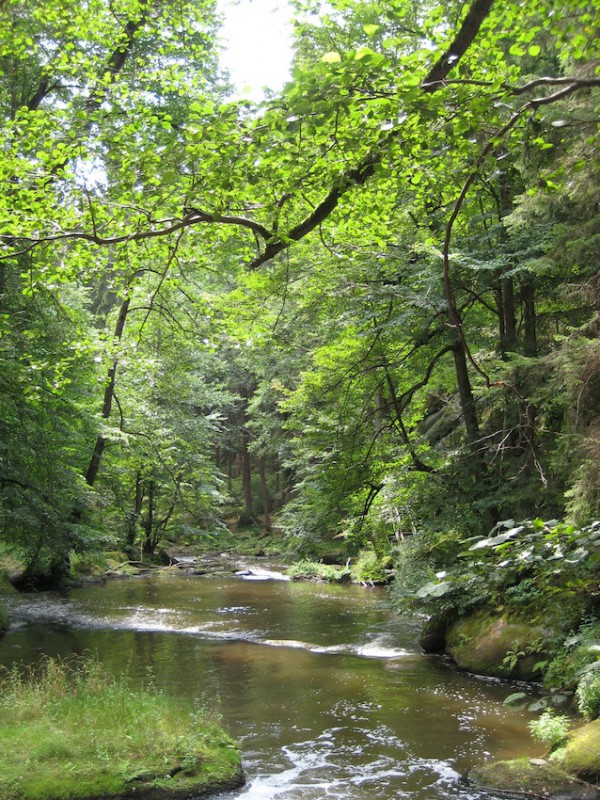 Waldnaabtal - naturOrte.de