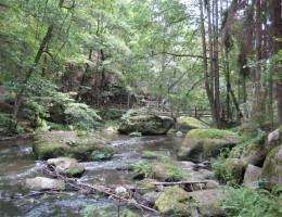 Waldnaabtal - naturOrte.de